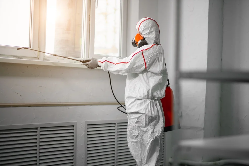 Professional mold remediation services in Faulkner, MD